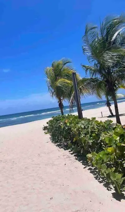 Apartment Magnifique Appartement De Luxe A Juan Dolio 6 Voyageurs 2 Chambres 3 Grand Lit 2 Salle De Bains 2 Salons Juan Pedro Dominican Republic
